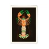 PSTR Studio Affiche Eged Magic Lobster - 30 x 40 cm > Affiches & Tableaux