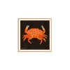 PSTR Studio Affiche Enikő Eged - Spotted Crab - 50 x 50 cm > Affiches & Tableaux