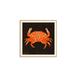 PSTR Studio Affiche Enikő Eged - Spotted Crab - 50 x 50 cm > Affiches & Tableaux