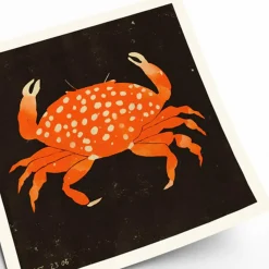 PSTR Studio Affiche Enikő Eged - Spotted Crab - 50 x 50 cm > Affiches & Tableaux