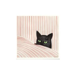 PSTR Studio Affiche Kosicka Black cat - 50 x 50 cm > Affiches & Tableaux