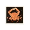 PSTR Studio Affiche Spotted Calico Crab - 50 x 50 cm > Affiches & Tableaux