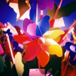 Lomography Appareil Photo Diana F+ Package 10Th Anniversary > High Tech