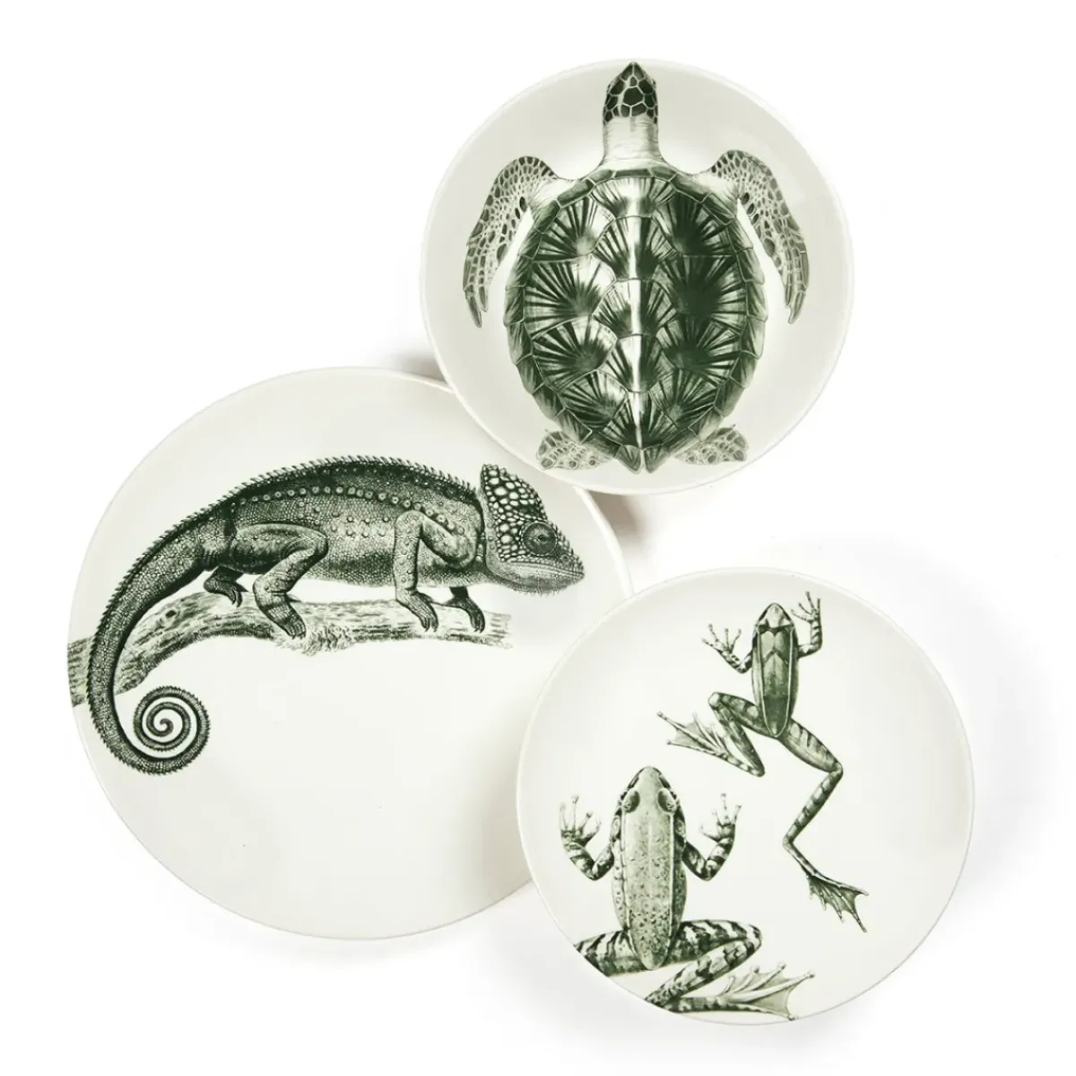 Sélectionné par Fleux Assiette plate - Cameleon > Assiettes & Couverts