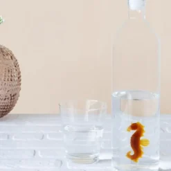 Sélectionné par Fleux Bouteille Sea Horse Atlantis en verre borosilicate -1.2L > Bouteilles & Lunch Box