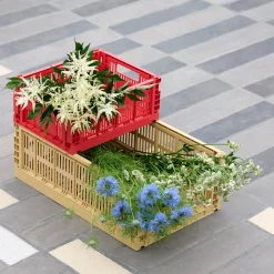 Hay Caisse Crate S - L 26.5 cm X H 10.5 cm > Petits Rangements