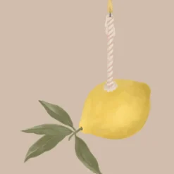 Sélectionné par Fleux Carte Lemon Birthday > Papeterie