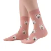 Tites Chaussettes Chaussettes Longues Spitz - Rose > Femme Chaussettes|Chaussettes