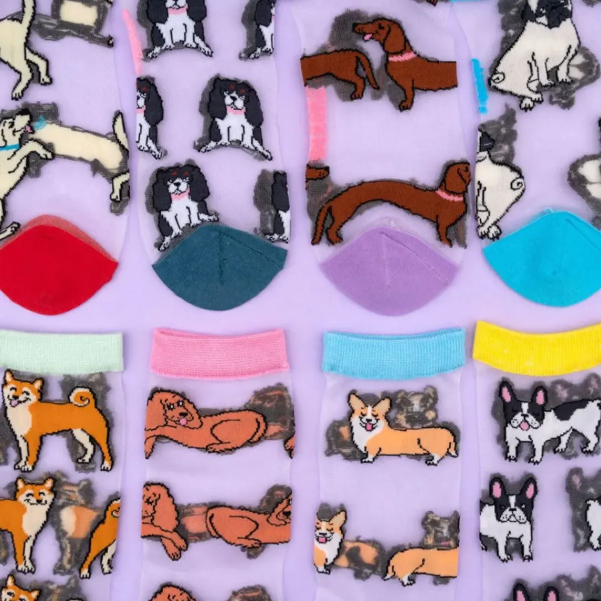 Coucou Suzette Chaussettes Transparentes - Corgi > Femme Fabriqué En France|Mode