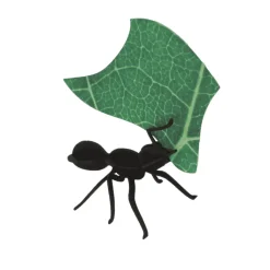 Assembli Collection Origami de 3 Fourmis Coupeuses De Feuilles > Enfant Décorations Enfant|Sculptures & Figurines