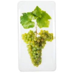 Stigerwoods Décoration murale Champagne - Chardonnay #1 - 20 x 35 cm > Fabriqué En Europe|Fabrication Artisanale