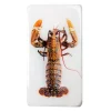 Stigerwoods Décoration murale Homard jaune / fond blanc - 20 x 35 cm > Fabriqué En Europe|Fabrication Artisanale