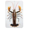 Stigerwoods Décoration murale Homard Portugais - 40 x 60 cm > Fabriqué En Europe|Fabrication Artisanale