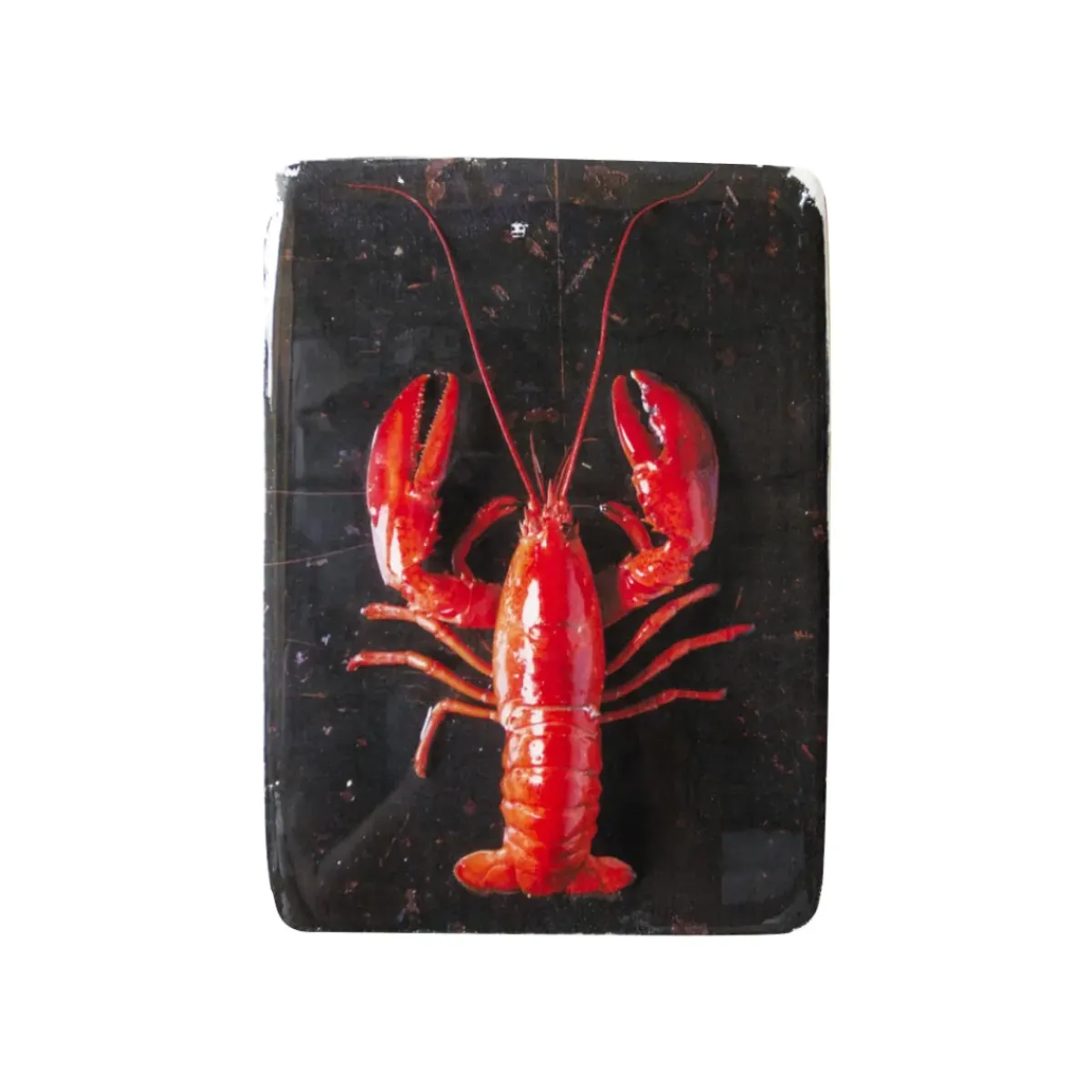 Stigerwoods Décoration murale Homard rouge / fond noir - 20 x 29 cm > Fabriqué En Europe|Fabrication Artisanale