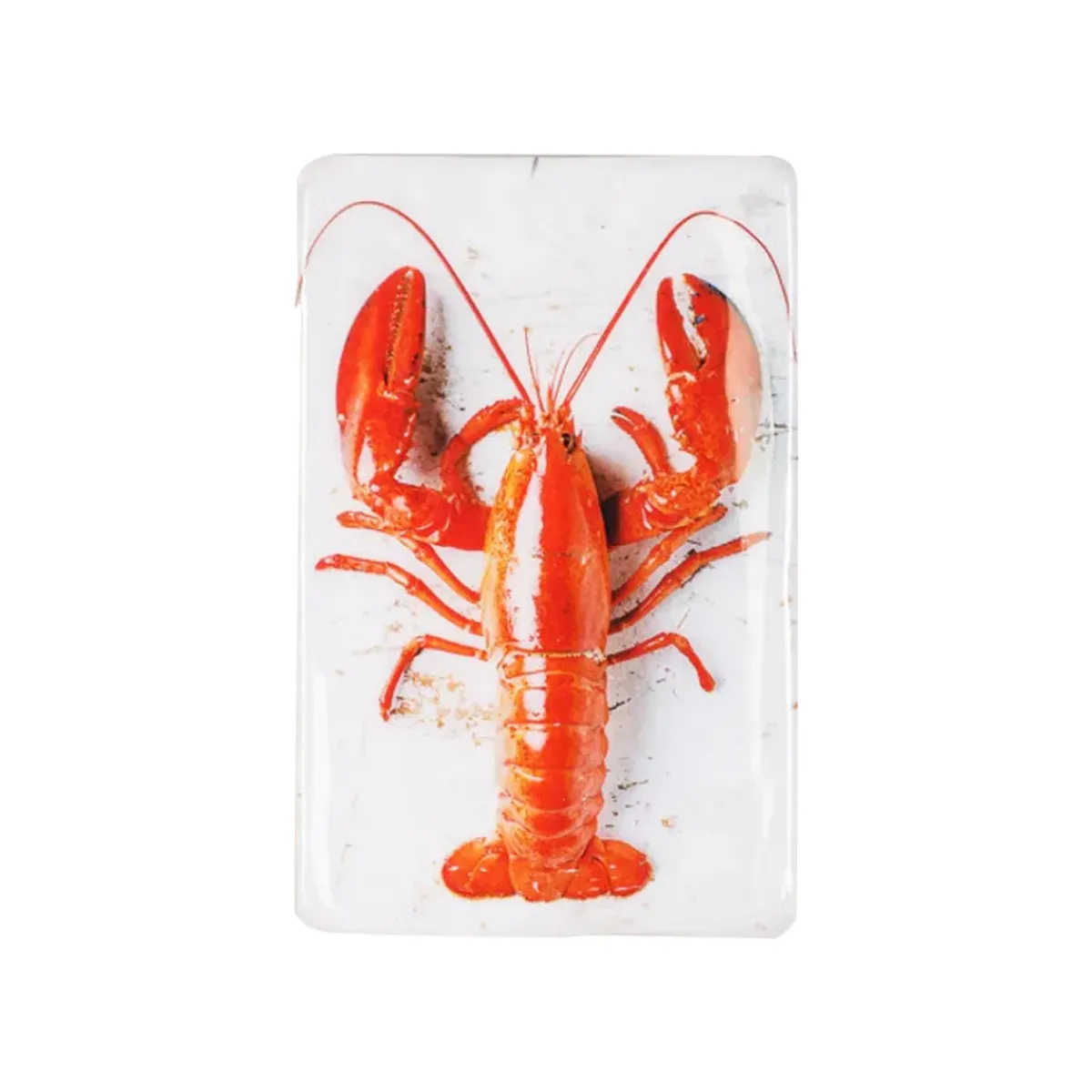 Stigerwoods Décoration murale Homard Rouge / fond blanc - 20 x 29 cm > Fabriqué En Europe|Fabrication Artisanale