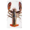 Stigerwoods Décoration murale Homard sur glace sur fond blanc - 20 x 35 cm > Fabriqué En Europe|Fabrication Artisanale