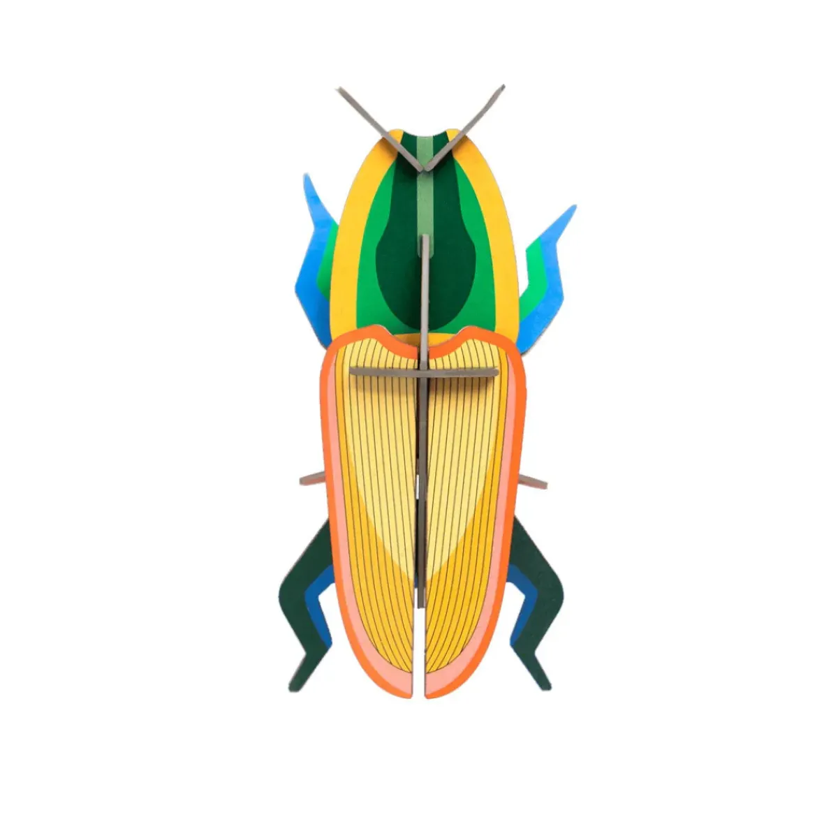 Studio Roof Décoration murale Madagascar Beetle > Enfant Recyclé|Décoration Enfants