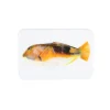 Stigerwoods Décoration murale Poisson-Perroquet Orange - 29 x 20 cm > Fabriqué En Europe|Fabrication Artisanale