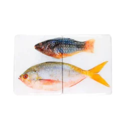 Stigerwoods Décoration murale Poisson perroquet et Fusilier sur fond blanc - 40 cm x 24 cm > Fabriqué En Europe|Fabrication Artisanale