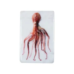 Stigerwoods Décoration murale Poulpe Portugais Rouge sur fond blanc - 20 x 29 cm > Fabriqué En Europe|Fabrication Artisanale
