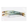 Stigerwoods Décoration murale Sardines vertes - 35 x 20 cm > Fabriqué En Europe|Fabrication Artisanale
