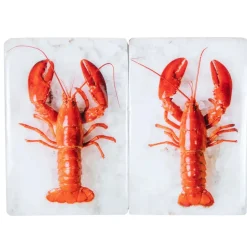 Stigerwoods Décoration murale Twin Homard rouge #1 sur fond blanc - 20 cm x 29 cm > Fabriqué En Europe|Fabrication Artisanale