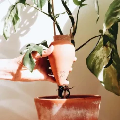 Sélectionné par Fleux Diffuseur d'eau naturel Olla > Pots & Jardinières