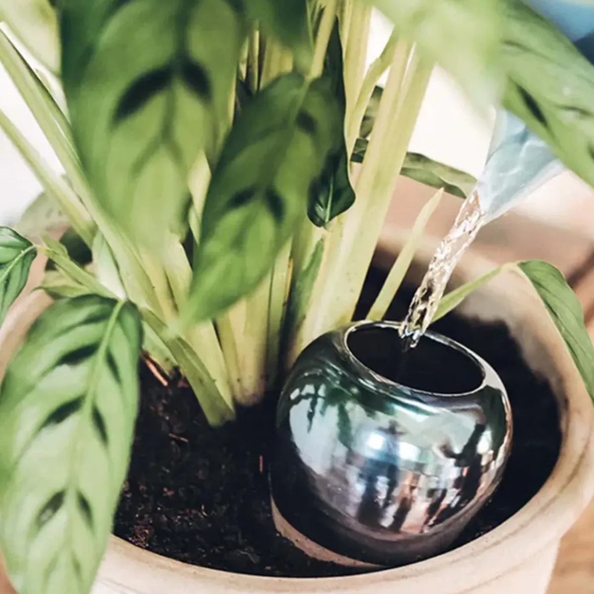 Sélectionné par Fleux Diffuseur d'eau naturel Olla > Pots & Jardinières