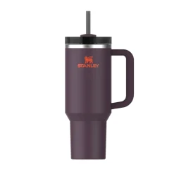 Stanley Gourde Quencher H2.0 - Plum > Bouteilles & Lunch Box