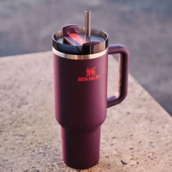 Stanley Gourde Quencher H2.0 - Plum > Bouteilles & Lunch Box
