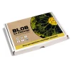 Sélectionné par Fleux Kit d'élevage Blob > Pots & Jardinières