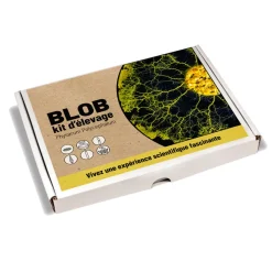 Sélectionné par Fleux Kit d'élevage Blob > Pots & Jardinières