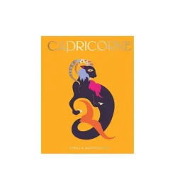 Hachette Livre Astrologie signe Capricorne > Livres