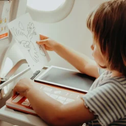 Sélectionné par Fleux Mini Tablette à Dessin Kidydraw 30 Dinosaures > Enfant Loisirs Enfants|Jeux Éducatifs