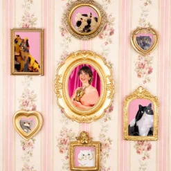 Coucou Suzette Pince à Cheveux - Chat de Gouttière > Mode|Accessoires Cheveux