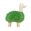 Sélectionné par Fleux Pot / Jardinière Chia Lama > Pots & Jardinières