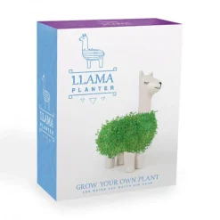 Sélectionné par Fleux Pot / Jardinière Chia Lama > Pots & Jardinières