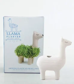 Sélectionné par Fleux Pot / Jardinière Chia Lama > Pots & Jardinières