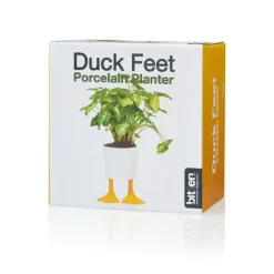Sélectionné par Fleux Pot / Jardinière Pieds Canards - Jaune u0026 Blanc > Pots & Jardinières