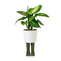 Sélectionné par Fleux Pot / Jardinière Wellington Petit - Vert > Pots & Jardinières