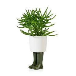 Sélectionné par Fleux Pot / Jardinière Wellington Petit - Vert > Pots & Jardinières