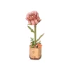 Sélectionné par Fleux Puzzle 3D - Rose > Puzzles