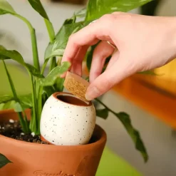 Sélectionné par Fleux Trio Mini Diffuseur d'eau naturel Ollas > Fabriqué En Europe|Fabrication Artisanale