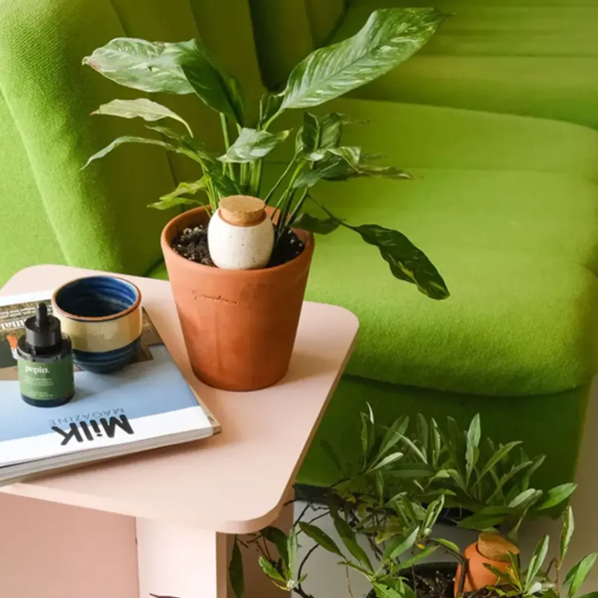 Sélectionné par Fleux Trio Mini Diffuseur d'eau naturel Ollas > Fabriqué En Europe|Fabrication Artisanale