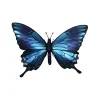 Assembli Trophée Origami Papilio Ulysses > Enfant Fabriqué En Europe|Décorations Enfant
