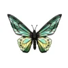 Assembli Trophée Origami Papillon Birdwing - Vert > Enfant Décorations Enfant|Art Mural