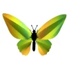 Assembli Trophée Origami Papillon Birdwing Vert Mangue > Enfant Fabriqué En Europe|Décorations Enfant