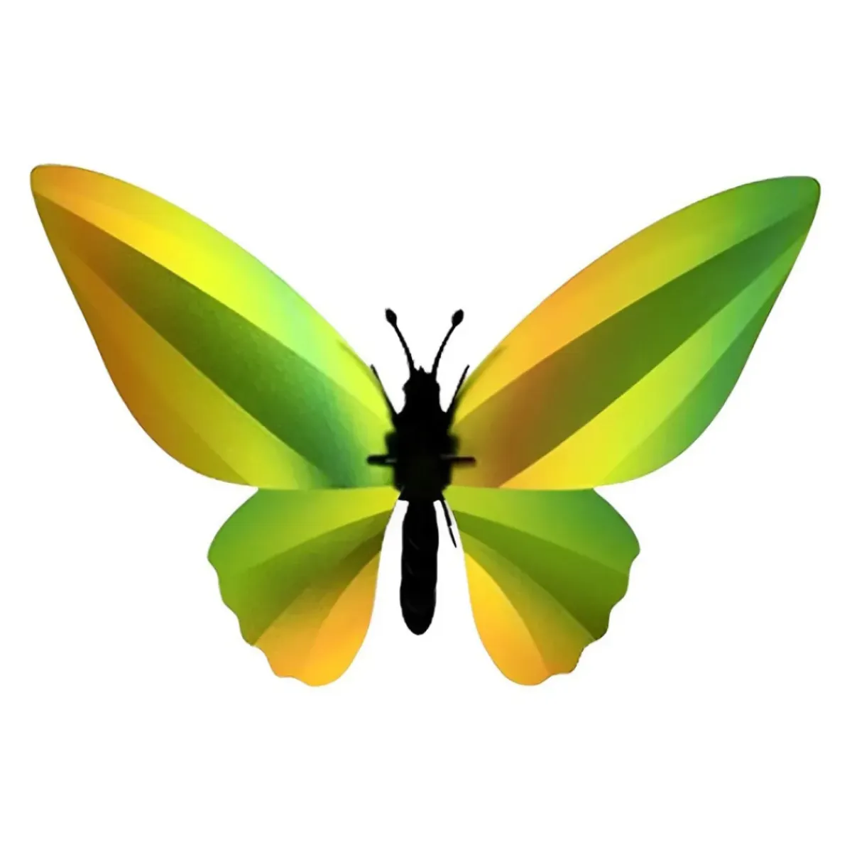 Assembli Trophée Origami Papillon Birdwing Vert Mangue > Enfant Fabriqué En Europe|Décorations Enfant
