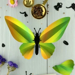 Assembli Trophée Origami Papillon Birdwing Vert Mangue > Enfant Fabriqué En Europe|Décorations Enfant
