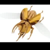 Assembli Trophée Origami Scarabée Atlas Doré > Enfant Décorations Enfant|Art Mural